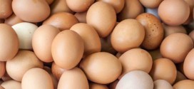 Variação de Preços na Pandemia, segundo o IBPT, mostra que ovo teve aumento de 202%
