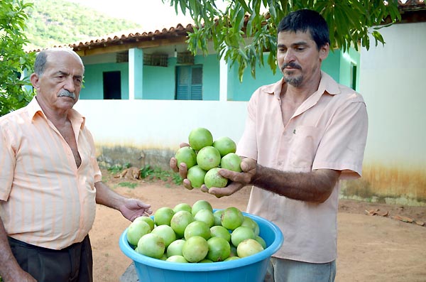 candiba umbuzeiro (1)