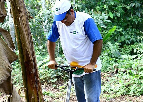 banacultura 01