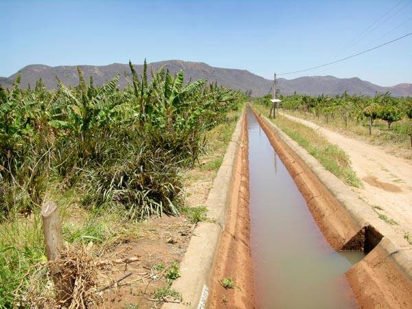 guanambi ceraima 02