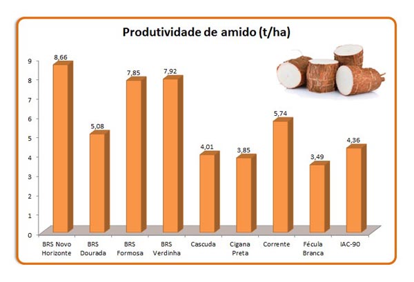 mandioca amido 02