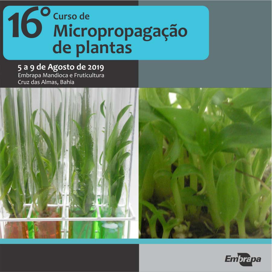 Divulgacao_Curso de Micropropagação de Plantas