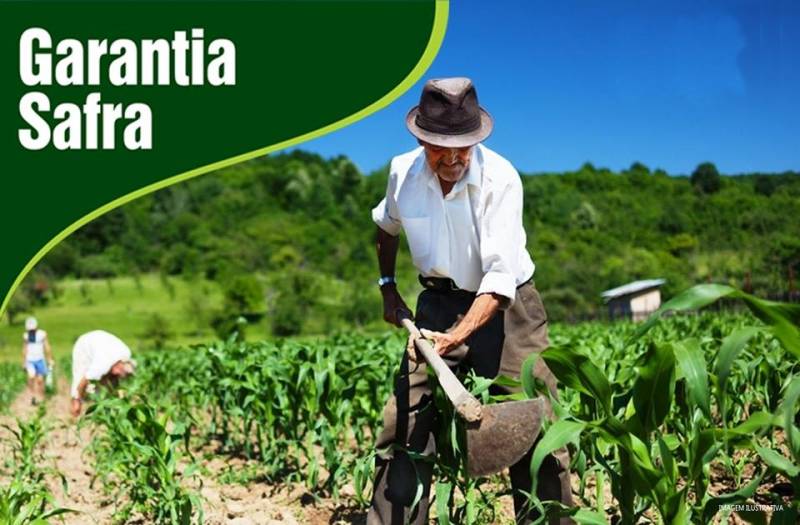 Produtores de 28 municípios do Nordeste - 27 municípios do estado da Bahia e um de Pernambuco - receberam R$ 59,3 milhões, a partir deste mês, para compensar os prejuízos com a seca. (Foto: relacionada)