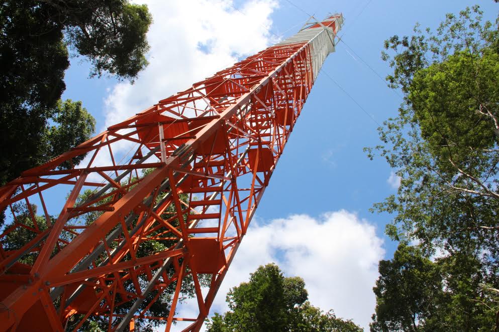 torre-atto Monitoramento amazonia.org