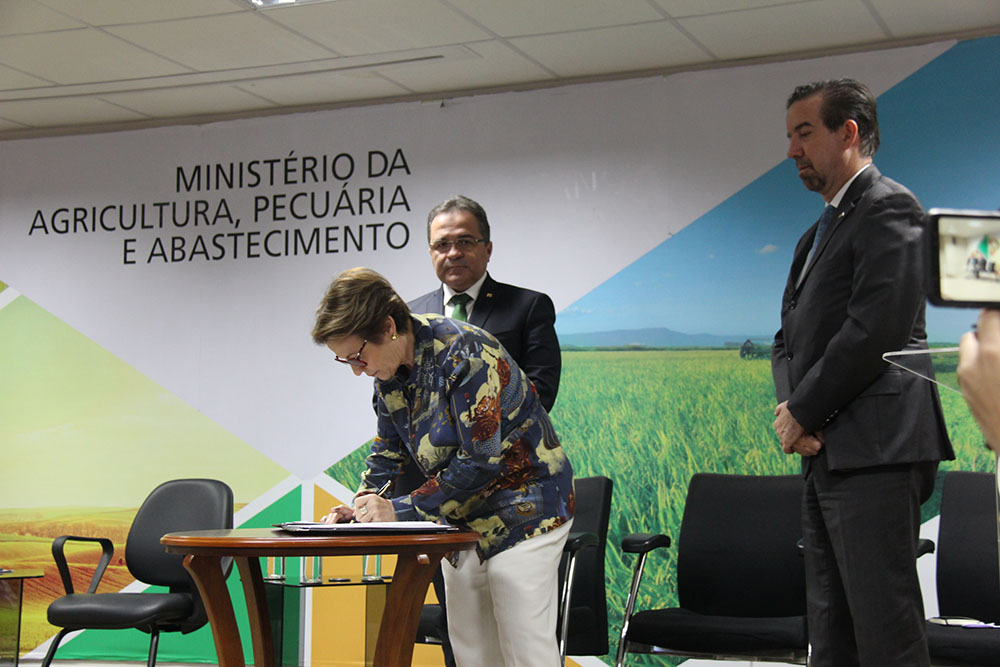 Foto: Robinson Cipriano