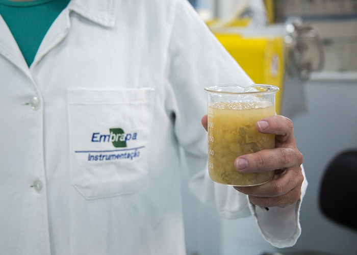 Produto nanotecnológico reúne manejo hídrico e de fertilizantes - Foto: Malu Tinoco