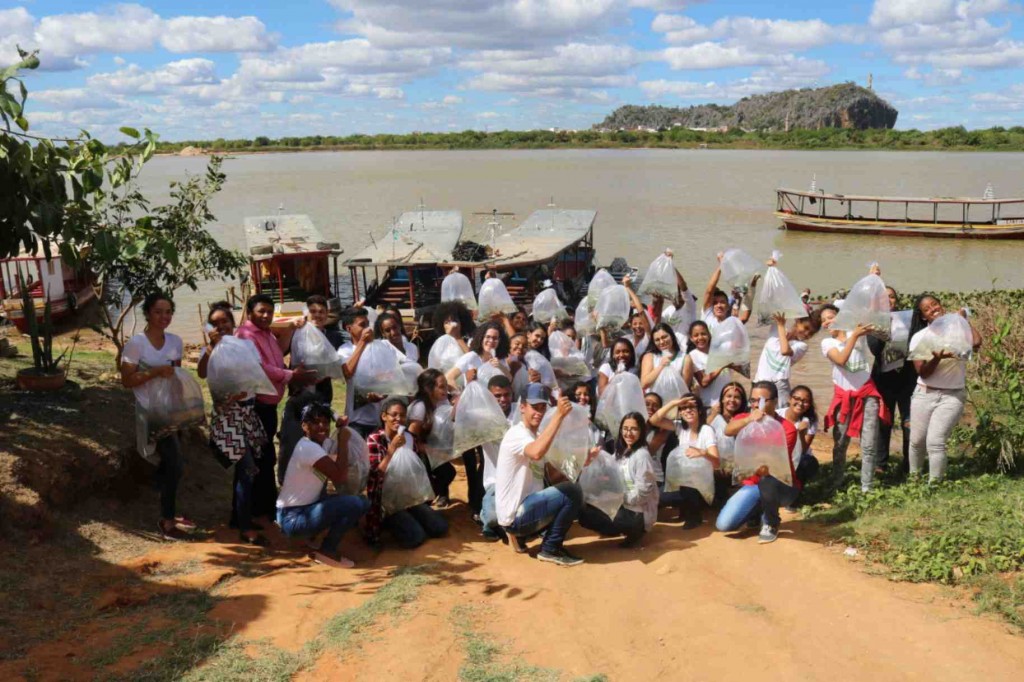 Desde o início da parceria, em 2014, a Codevasf distribuiu 1,1 milhão de alevinos produzidos nas estações da Bahia Pesca. Os alevinos foram entregues a associações de produtores locais ou inseridos diretamente em locais públicos. Foto: divulgação