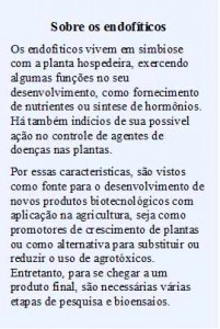 pesquisa embrapa - guaraná
