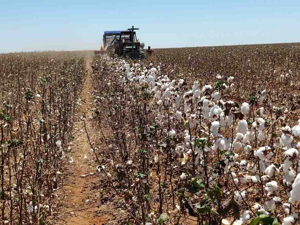 Foto - Valdinei Sofiatti