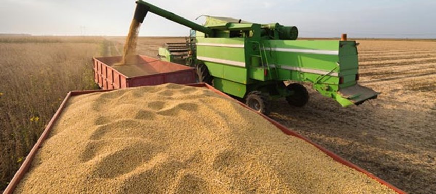 A Conab estima, em seu boletim de maio, uma produção de 250,9 milhões de toneladas de grãos, incremento de 3,7% sobre a safra anterior, o equivalente a 8,8 milhões de toneladas. Foto: pesquisa internet