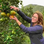 A empresária Rose Bezecry, da Cativa Natureza, já conhecia o trabalho dos produtores de ponkan de Cerro Azul e desenvolveu uma forma de trabalhar com a tangerina verde também. (Créditos: Paula Martins/Divulgação)