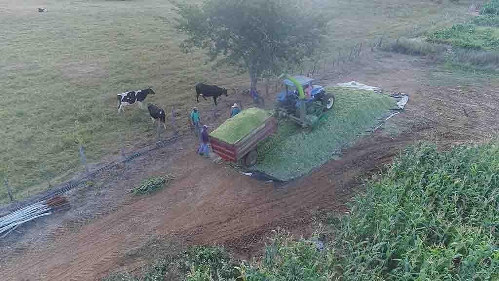 Produtores rurais de Serra do Ramalho (BA) otimizam produção com o apoio da Codevasf