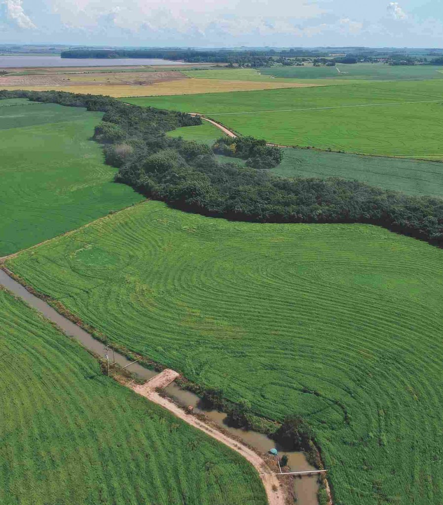 Arroz responde por cerca de 25% da área irrigada no Brasil e por 40% do volume de água captado. Foto: Atlas Irrigação / ANA /divulgação.