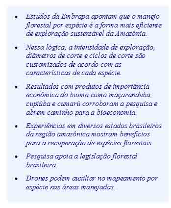 reflorestamento cópia