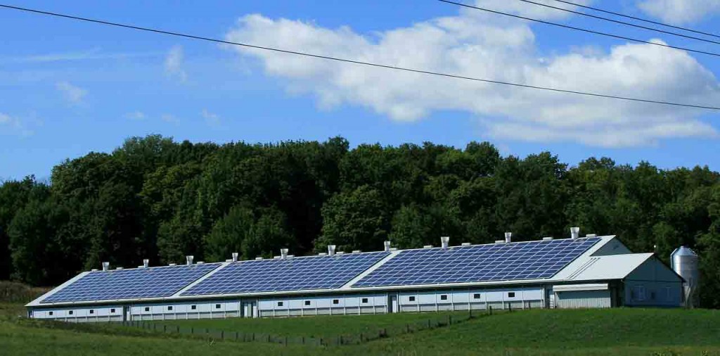 Curral de Minas tem uma economia de quase 30 mil reais por mês com o uso de painéis solares. Foto: SolarVolt Energia / reprodução