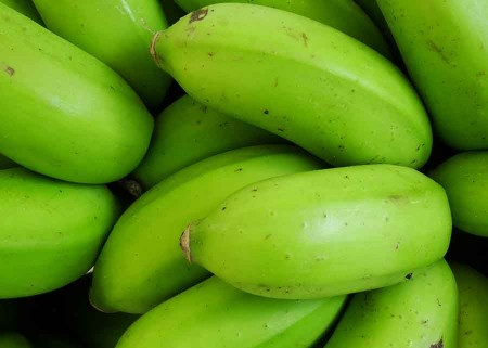 Fruto da BRS Princesa, variedade utilizada na pesquisa. Foto: Léa Cunha / divulgação