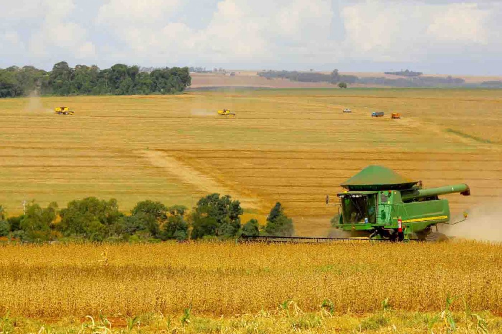 Linha garante a oferta de crédito durante o ano inteiro e complementa os programas agropecuários do Governo Federal, que já apoiou 2.900 produtores. Foto: relacionada / reprodução BNDS