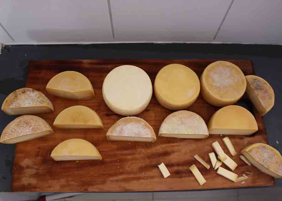 Por serem artesanais, os queijos da região do Serro são únicos e apresentam pequenas variações na produção nas diferentes propriedades. Foto: Juliana Carneiro / divulgação