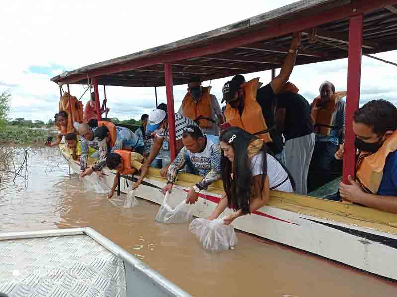 Em Bom Jesus da Lapa, o peixamento introduziu 20 mil alevinos de pacamã no trecho do São Francisco localizado na comunidade Barrinha. Foto: divulgação / Codevasf
