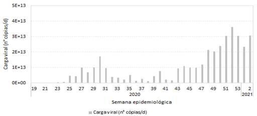 grafico 01 - coronavirus