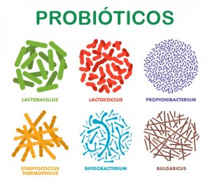 probioticos