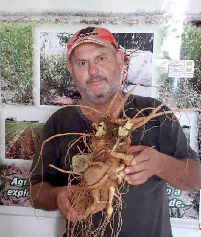 O produtor e sócio e presidente da Aspag, Misael Jefferson Nobre, já busca obter o registro de Indicação Geográfica (IG) para ampliar mercado. Foto: Divulgação.