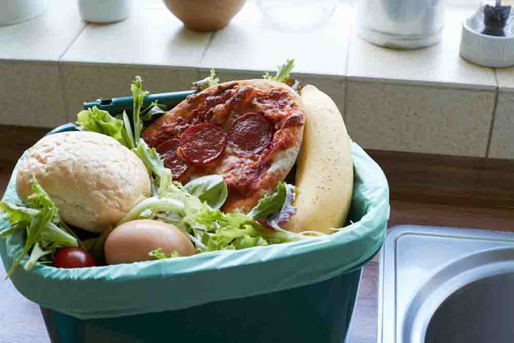 O estudo aponta que a maior parte do desperdício acontece nos domicílios: 11% do total de alimentos disponíveis na fase de consumo da cadeia de abastecimento. Foto: relacionada / reprodução.