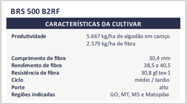 210427_PrimeiroAlgodãoTransgênico_gráfico_característica_cultivar