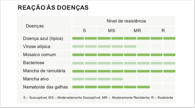 210427_PrimeiroAlgodãoTransgênico_gráfico_reação_a_doença