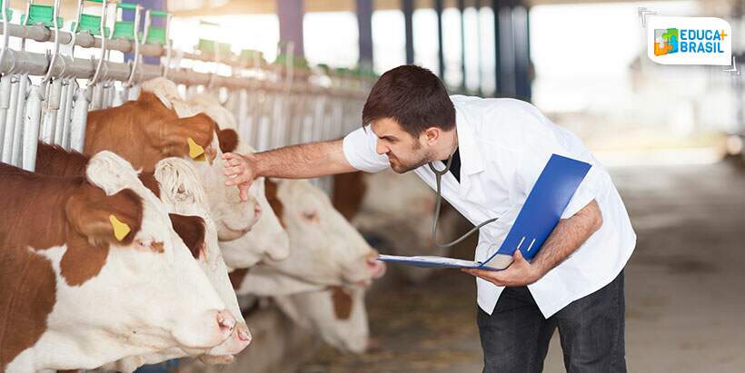 Sistema de Cadastro de Profissionais (Siscad) do CFMV aponta que 9.184 zootecnistas estão aptos e legalmente habilitados a exercer a profissão da Zootecnia no Brasil. Crédito https://www.educamaisbrasil.com.br /reprodução