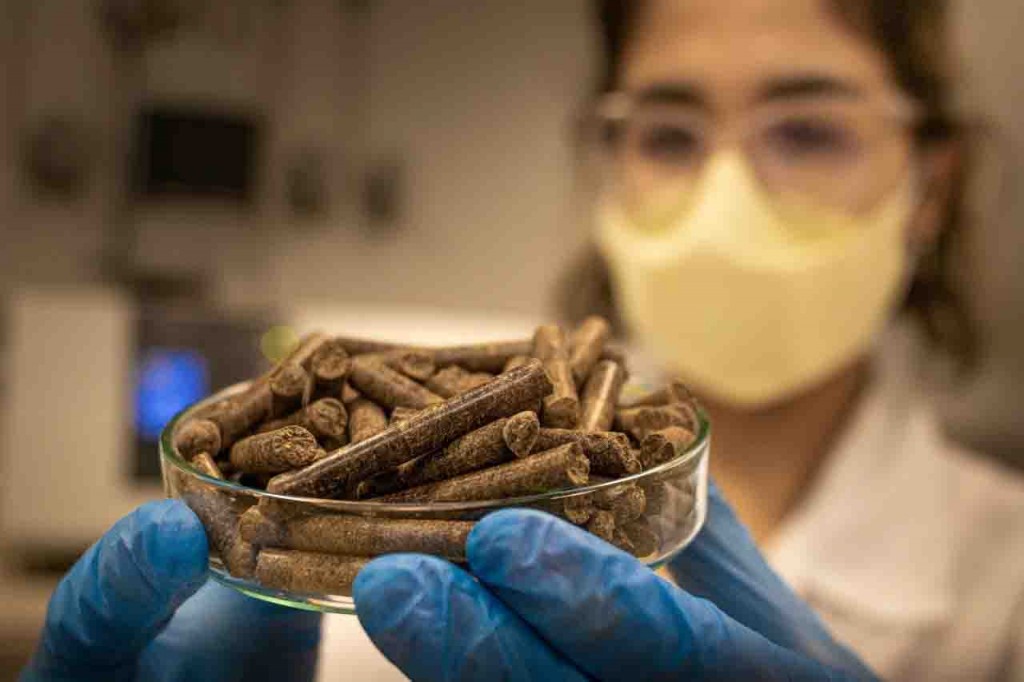 Projeto EMBRAPII ganhou o nome de B-Pellet e possibilita nova destinação aos resíduos orgânicos brasileiros. Foto: divulgação