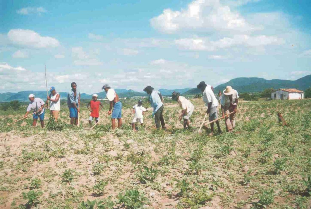 A obtenção de crédito se dá por meio da rede de mais de 60 agentes financeiros credenciados no BNDES, incluindo agências de fomento, bancos de montadoras, cooperativas de crédito, bancos cooperativos, bancos privados e bancos públicos. Foto: João Martins / Arq. Integração