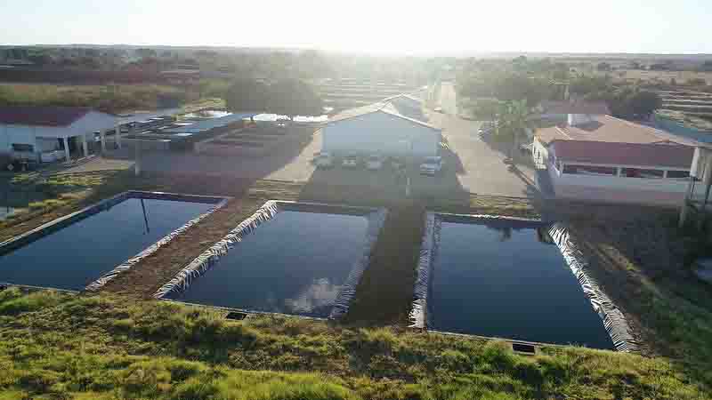 Codevasf moderniza estrutura do Centro Integrado de Recursos Pesqueiros e Aquicultura de Xique-Xique