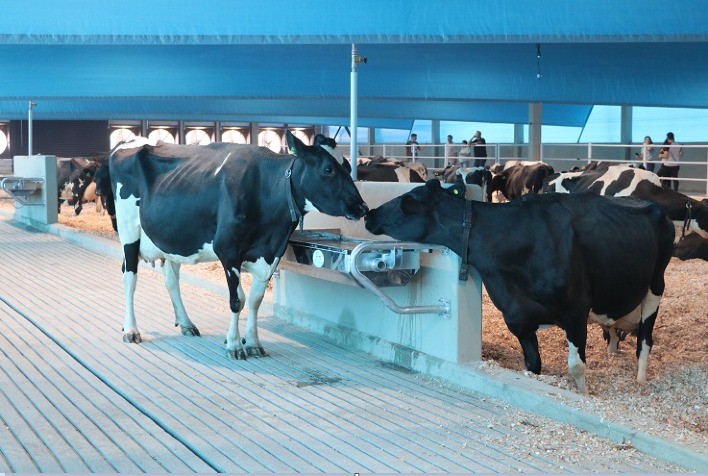 Sob a ótica da internet das Coisas (IoT), o projeto eleva a pesquisa para uma outra dimensão ao tornar digitais os projetos de pesquisa. Foto: reprodução / vidaruralmt.com.br.
