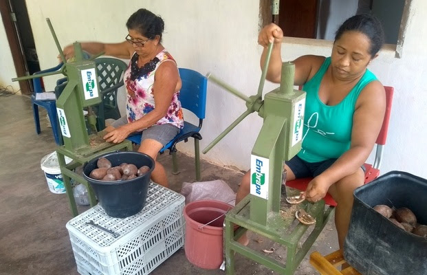 As quebradeiras de coco aprovaram a ferramenta, já que as auxiliará bastante no trabalho, diminuindo o esforço físico, melhorando o rendimento do trabalho e a renda das famílias. Fotos: Embrapa cocais / divulgação