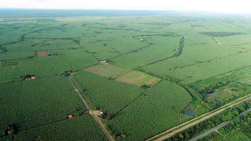 Os preços mínimos por hectare são: R$ 13,1 mil para as áreas irrigáveis e R$ 5,1 mil para as áreas não irrigáveis Fotos: Flickr/Codevasf / divulgação