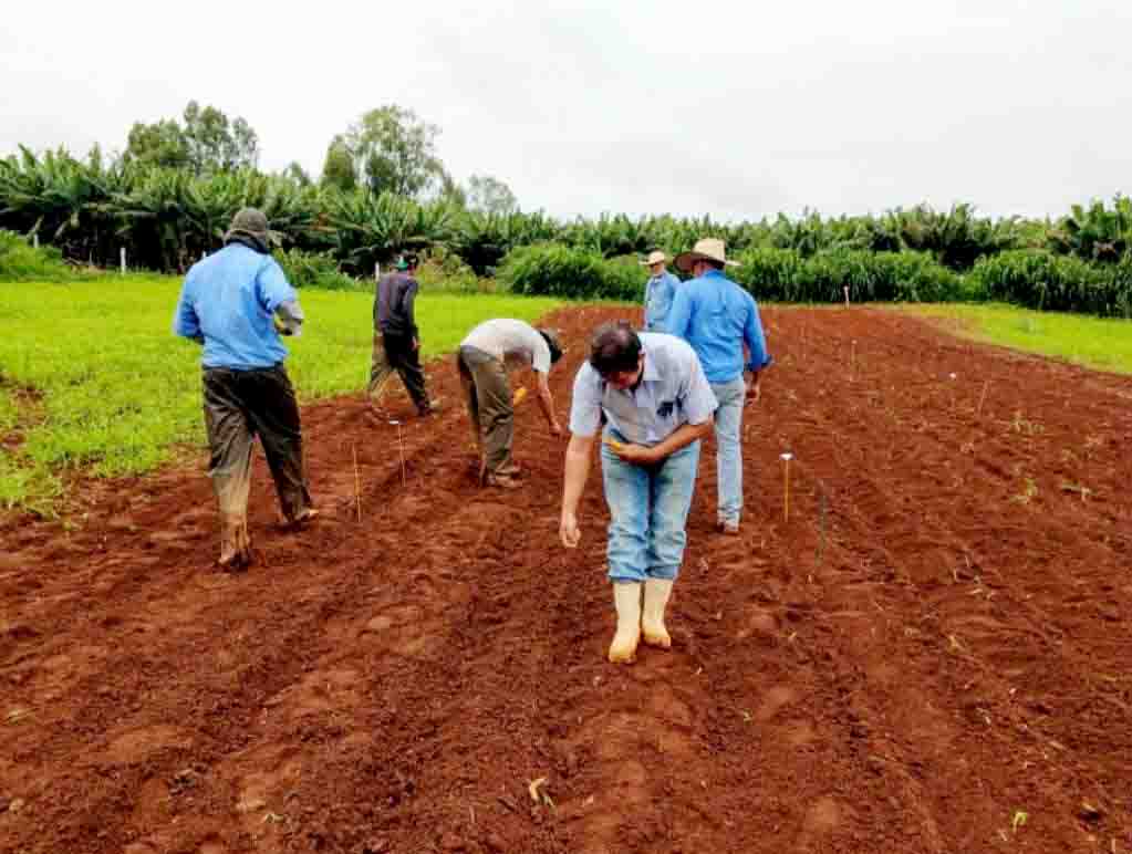 As inscrições seguem até o dia 30 de novembro de 2021. Recurso destinado a assentamentos rurais para consolidar atividades produtivas. Foto: Emater/ Agroecologica