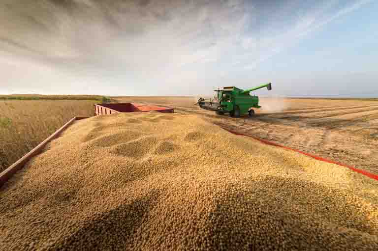De acordo com os dados levantados pela Conab, apenas a área a ser semeada de soja tende a passar de 38,9 milhões/ha para 39,91 milhões/ha, um acréscimo de 2,5%. Foto: divulgação