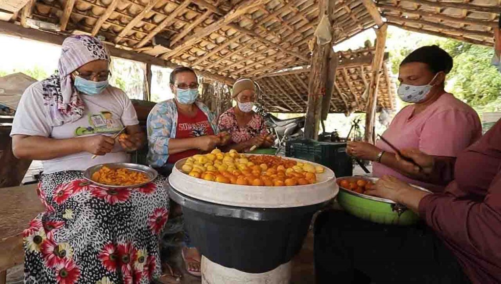 Na comunidade Brejo Dois Irmãos foi implantada uma Unidade de Beneficiamento de Buriti e ofertada capacitação técnica, com o intuito de agregar valor à produção, diversificar a capacidade produtiva e preservar o buriti. Foto: divulgação.