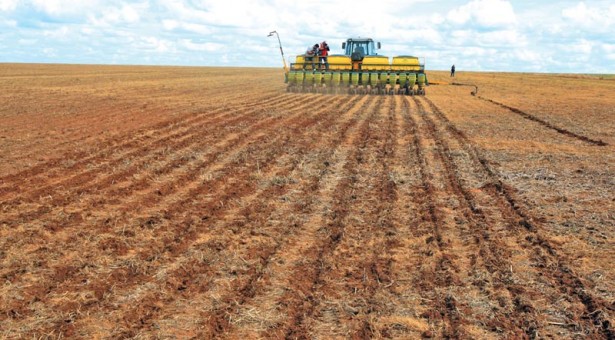 Parte de Goiás também apresenta boas condições de umidade de solo, mas Mato Grosso do Sul e Rio Grande do Sul iniciam novembro com cenário de seca nas áreas de produção. Aspectos cronológicos de cultivo de soja no Amapá – foto: aprosojabrasil.com.br/