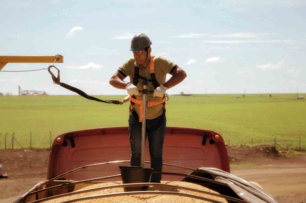 Empresa de agroalimentos de Mato Grosso oferece 540 vagas Grosso para diferentes posições como: Classificadores de Grãos, Coordenador Contábil, Assistente Administrativo, Auxiliares Administrativo, Auditor de campo, Supervisor de Operações e Técnico de Suporte. Foto: divulgação.