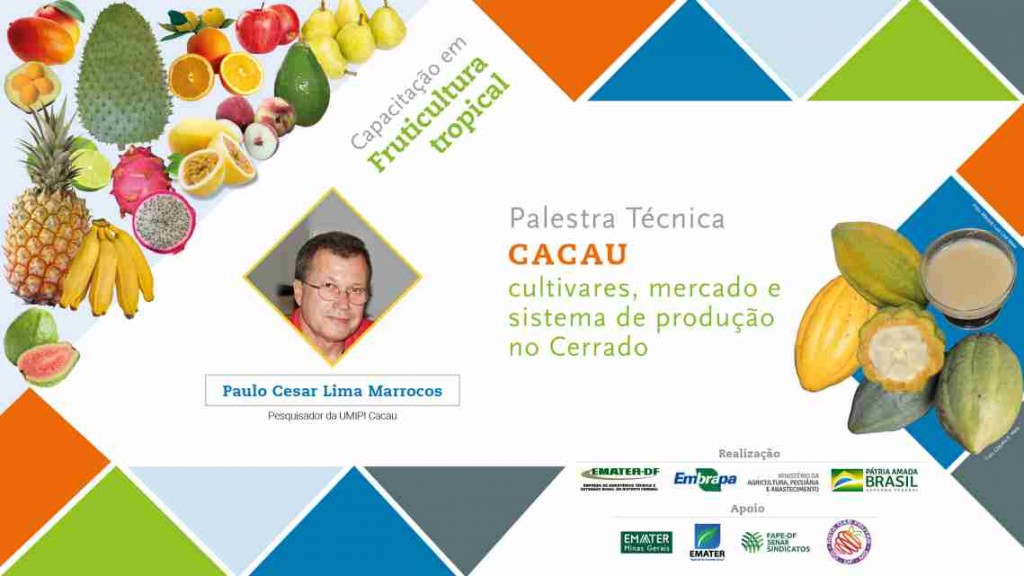 Arte palestra cacau