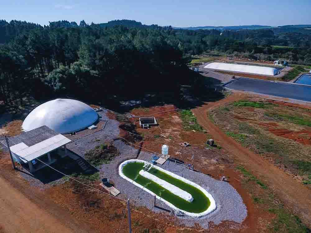 Nos testes realizados em campo, o grau de pureza do biogás - que é medido pela concentração de metano - passou de 65% para 90%, aproximadamente, comprovando a eficiência da aplicação de microalgas no processo de refino. (divulgação).