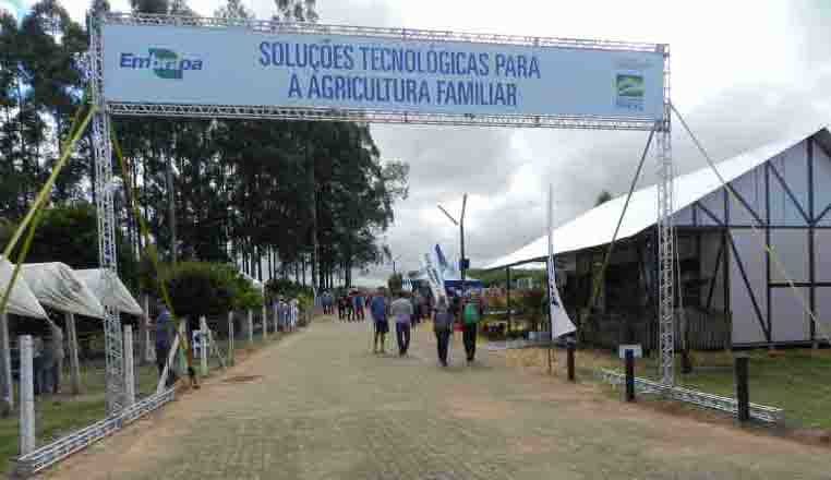 No evento, que é considerado a maior feira do Brasil voltada à agricultura familiar, são apresentadas soluções tecnológicas para diversificação produtiva das propriedades rurais. Foto: Lírio Reichert. / divulgação