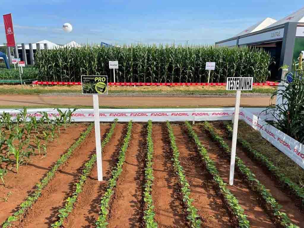 A Novozymes BioAg apresenta aos produtores da região inovação sustentável que pode gerar incremento de produtividade de até 6%. (divulgação).