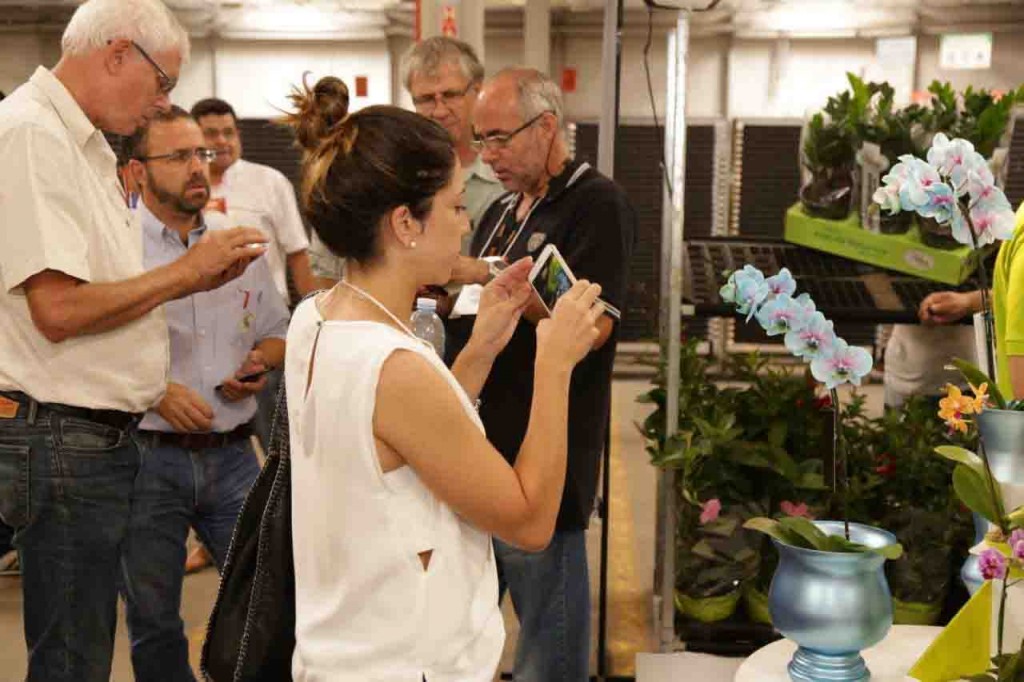 Atacadistas de todo o Brasil, redes de autosserviço, floriculturas, shoppings e garden centers poderão conhecer novos produtos e tendências da floricultura nacional e realizar negociações a médio e longo prazo para garantir preços e evitar as oscilações do mercado. Fotos: divulgação