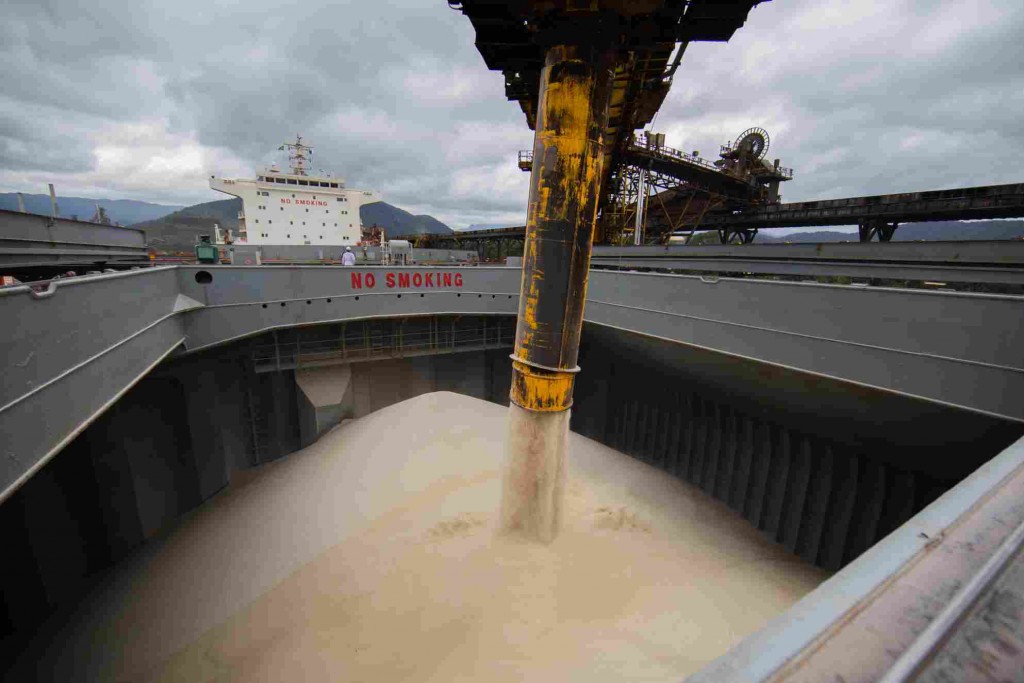 Composições carregadas com a commodity, originária de diferentes estados do país, já alcançaram terminais, ferrovias e portos no Sistema Sudeste. Foto: divulgação.