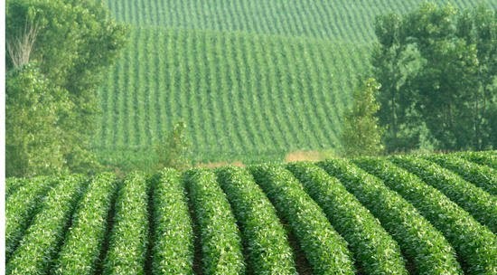 A FAO organizou um seminário sobre o uso de biofertilizantes usados no Brasil, Chile, Peru e no Caribe. (Foto: FAO / relacionada)