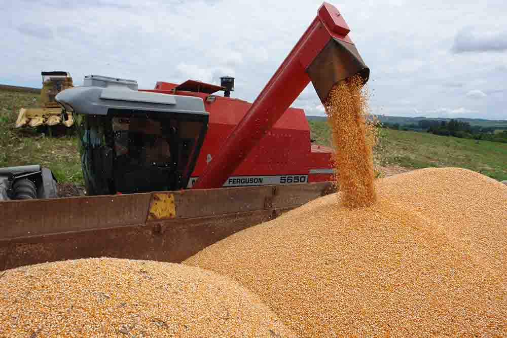 “Oportunidades e ameaças para commodities agrícolas brasileiras com foco em cadeia produtiva de grãos – uma visão global interna frente aos mercados atuais e potenciais”. Foto: arquivo Embrapa Milho e Sorgo