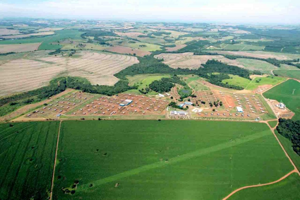 A Central possui os selos ISSO 9001 e ISSO 14001, que garantem qualidade nos processos de coleta, manutenção dos touros, industrialização e armazenamento das doses, tem previsão para superar as seis milhões de doses em 2022. Foto: Arquivo CRV/Central Bela Vista